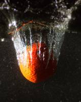 Christine LE GUYADEC - leguyadecc@gmail.com